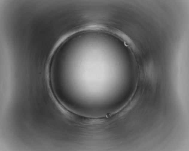 X0000115491430200911131226