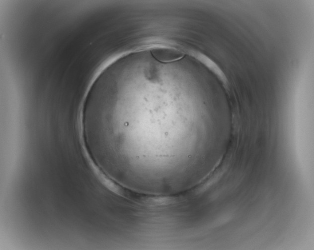 X0000115491431200911131226