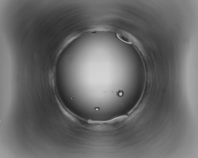 X0000115491433200911131226