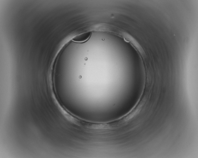X0000115491434200911131226