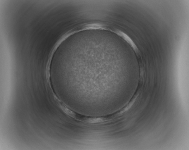 X0000115491435200911131226