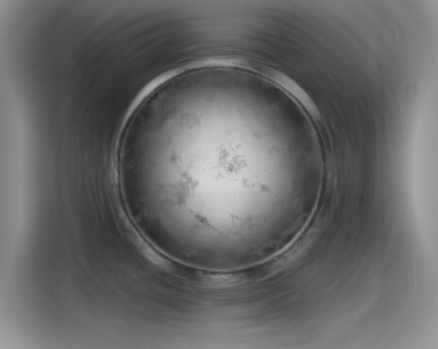 X0000115491436200911131227