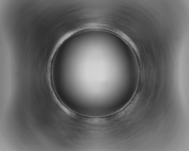 X0000115491437200911131227
