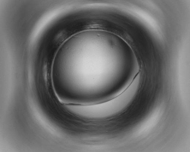 X0000115491438200911131227