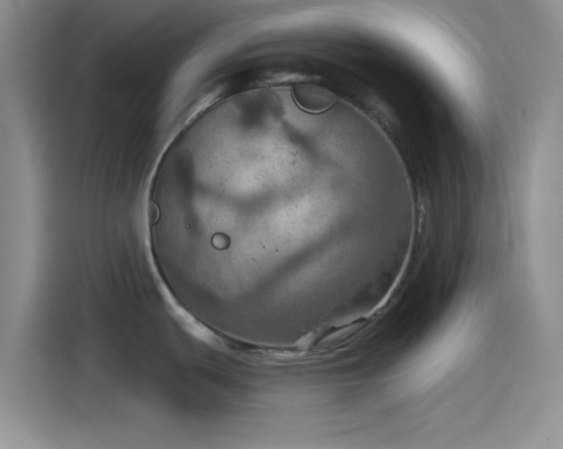 X0000115491439200911131227