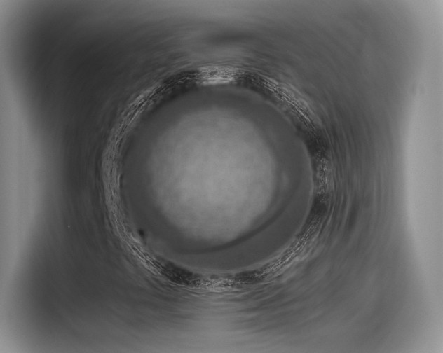 X0000115491441200911131226