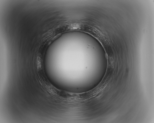 X0000115491442200911131226