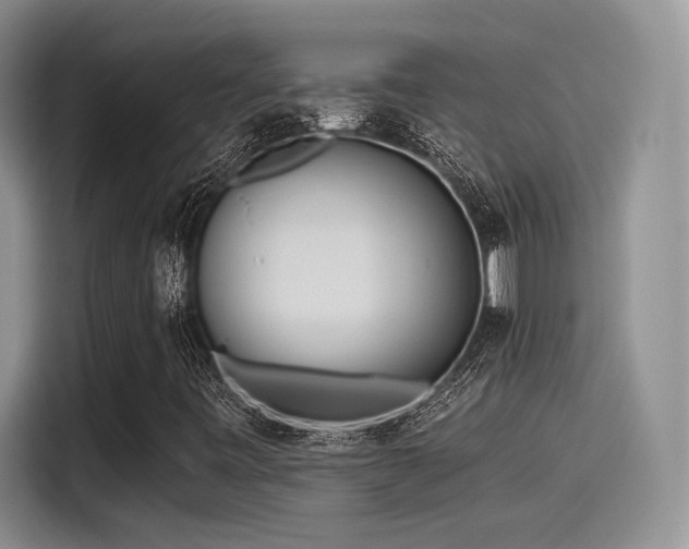 X0000115491443200911131226