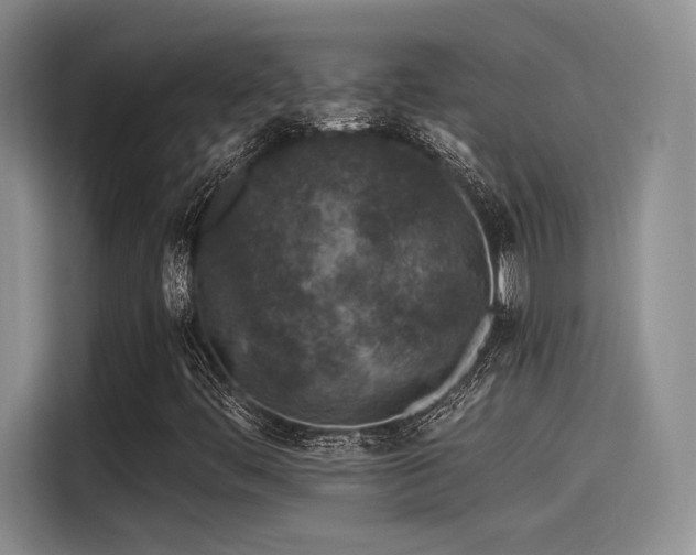 X0000115491444200911131226