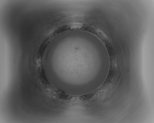 X0000115491445200911131226