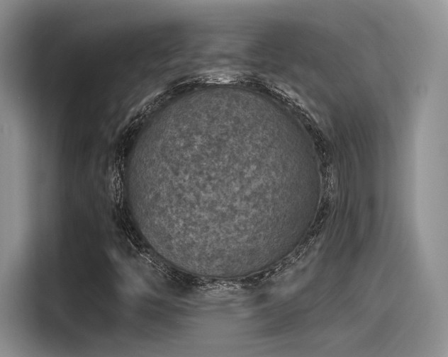 X0000115491446200911131226