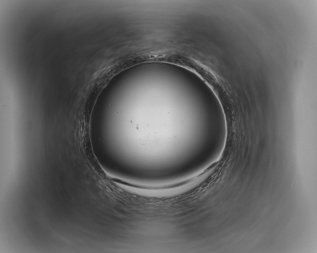 X0000115491447200911131226