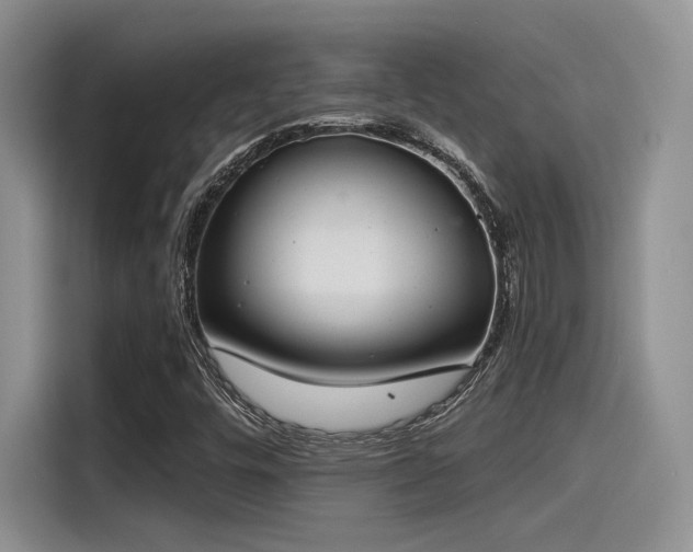 X0000115491448200911131226