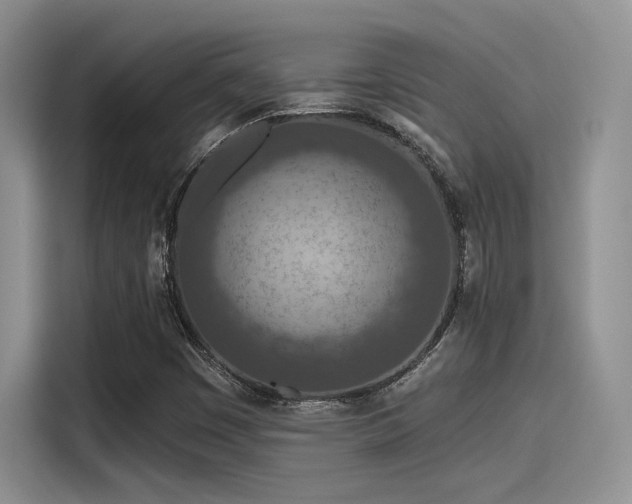 X0000115491449200911131226
