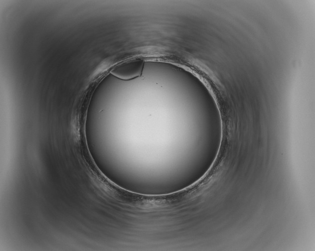 X0000115491451200911131226
