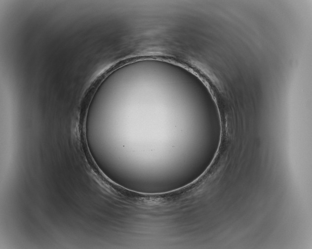 X0000115491452200911131226