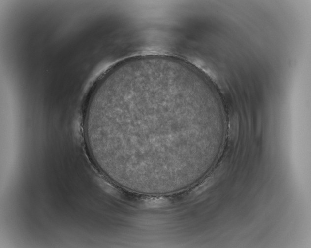 X0000115491454200911131226