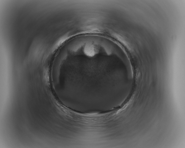 X0000115491455200911131226