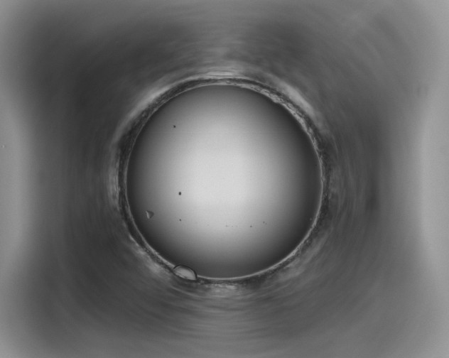 X0000115491456200911131226