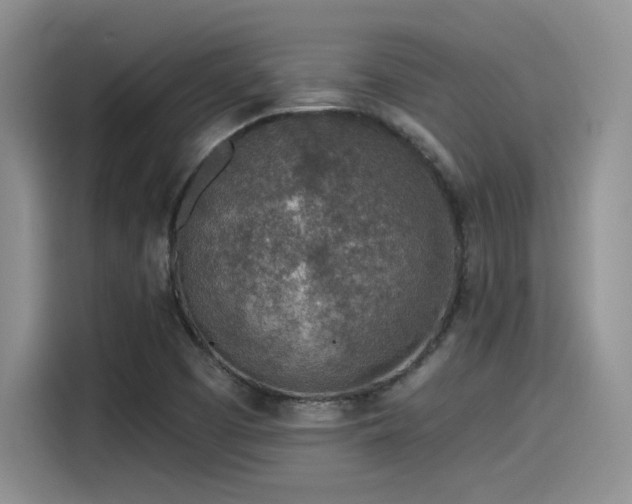 X0000115491457200911131226