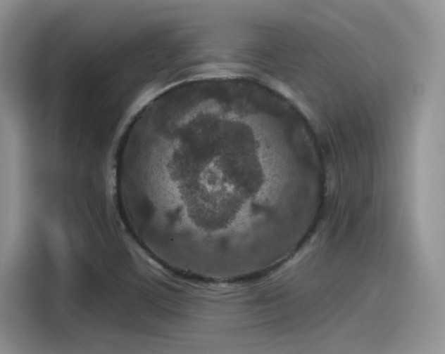 X0000115491459200911131226