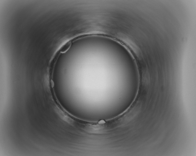 X0000115491460200911131226