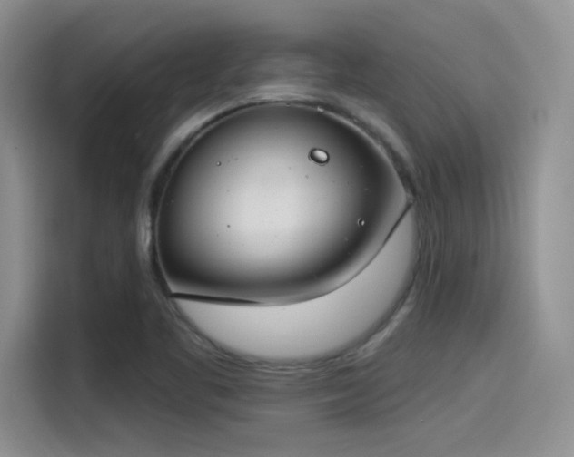 X0000115491461200911131226