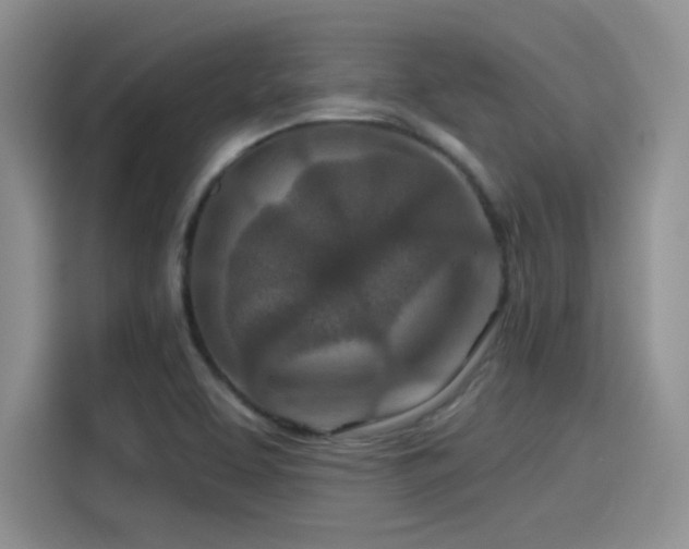 X0000115491463200911131226