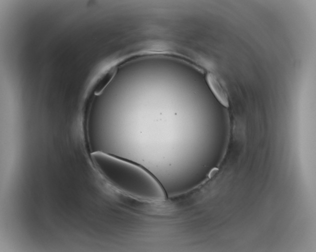 X0000115491464200911131226