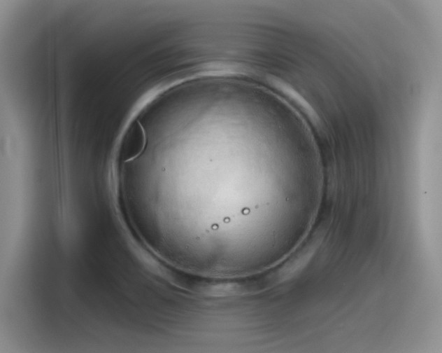 X0000115491467200911131226
