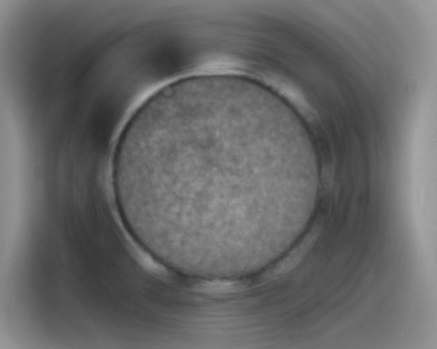 X0000115491470200911131226