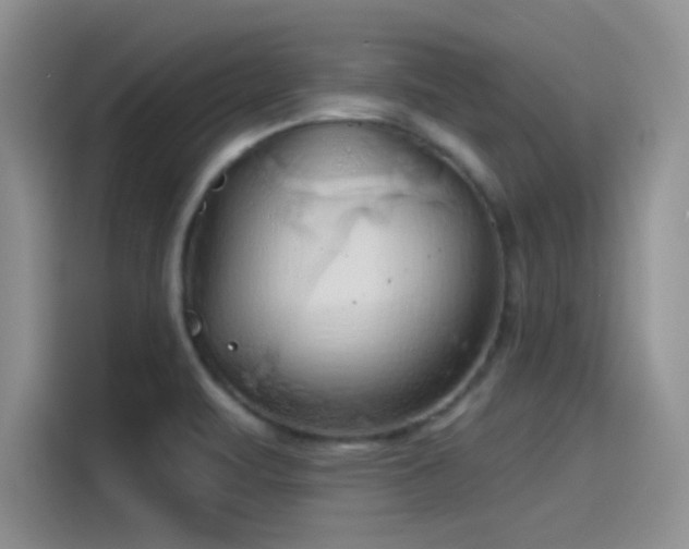 X0000115491471200911131226