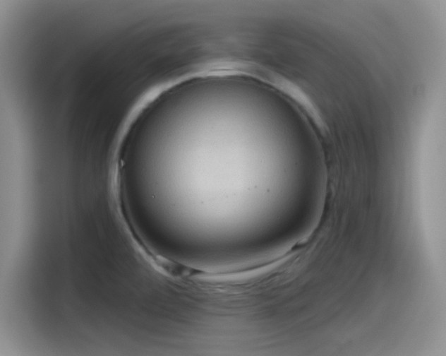 X0000115491472200911131226