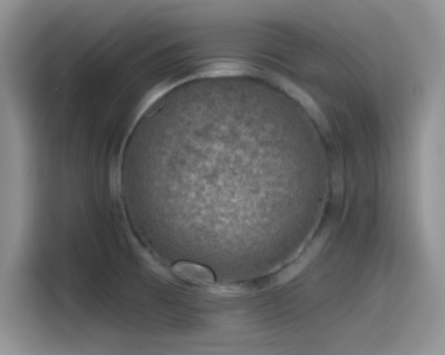 X0000115491473200911131226