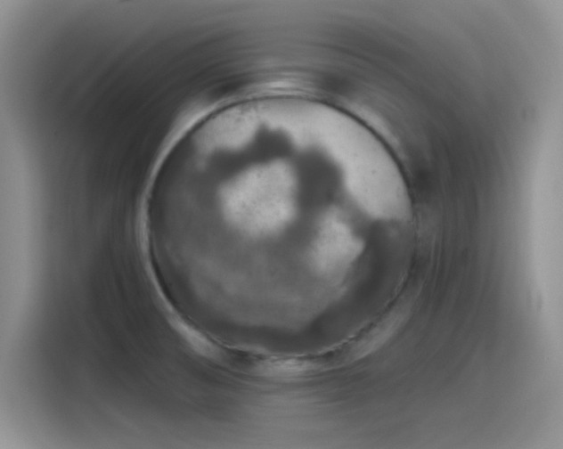 X0000115491474200911131226