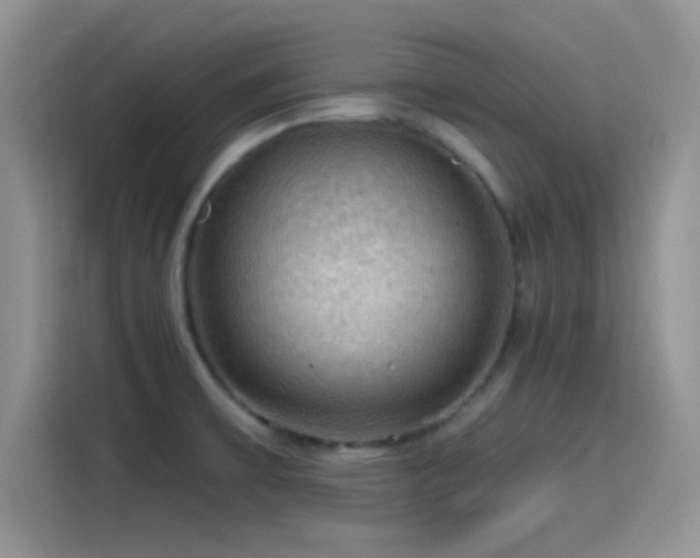 X0000115491475200911131226