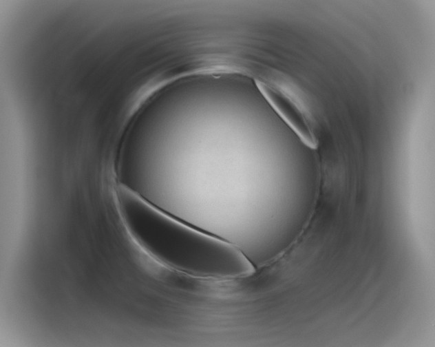 X0000115491476200911131225