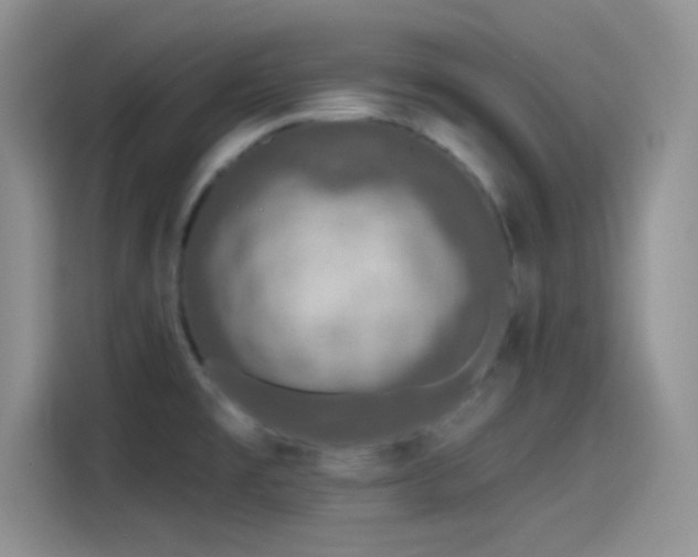 X0000115491477200911131225