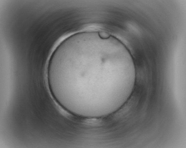 X0000115491478200911131225