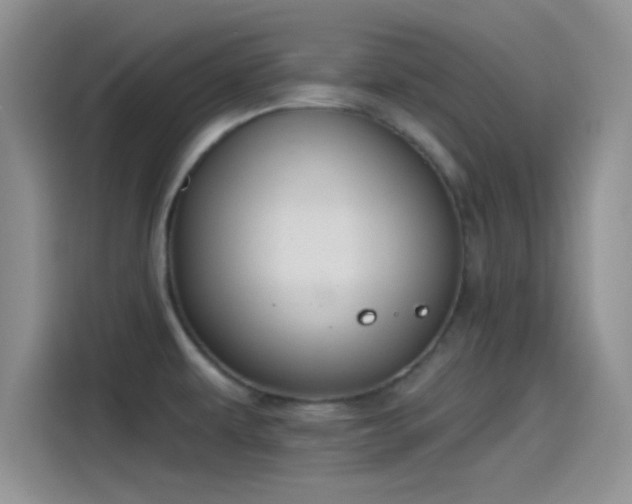 X0000115491479200911131225