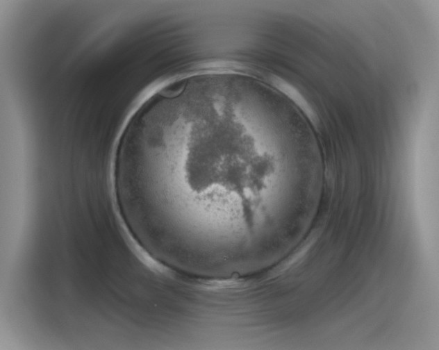 X0000115491482200911131225
