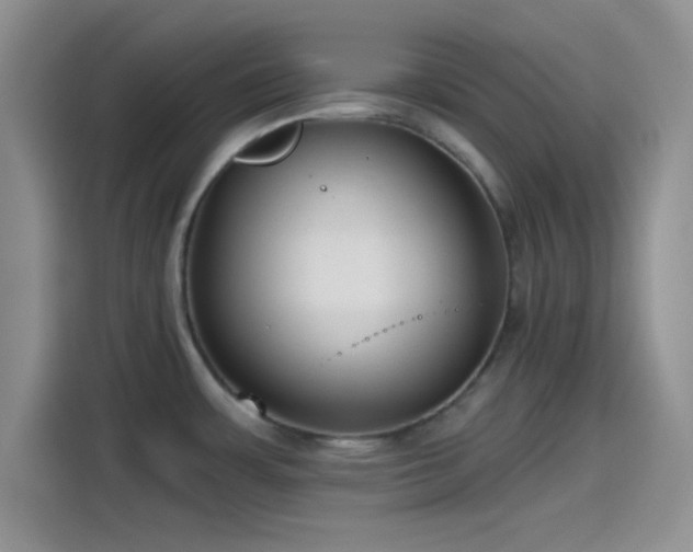 X0000115491483200911131225