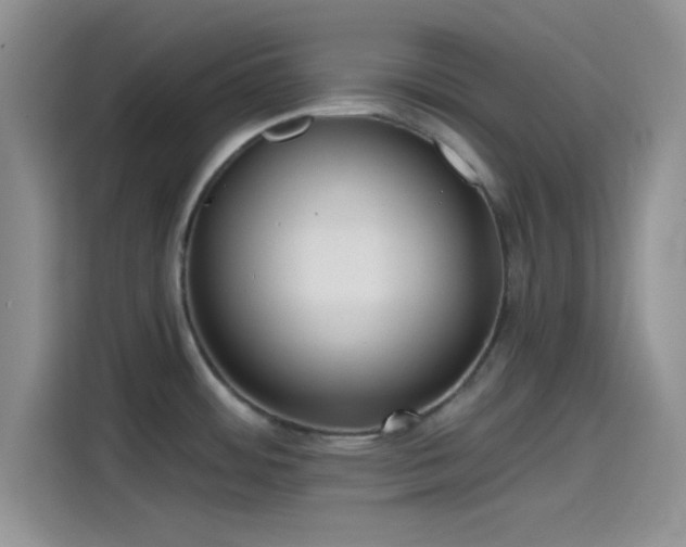 X0000115491484200911131225