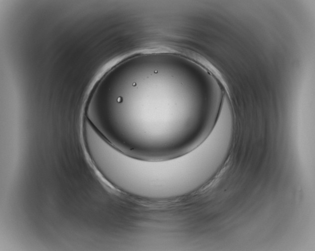 X0000115491485200911131225