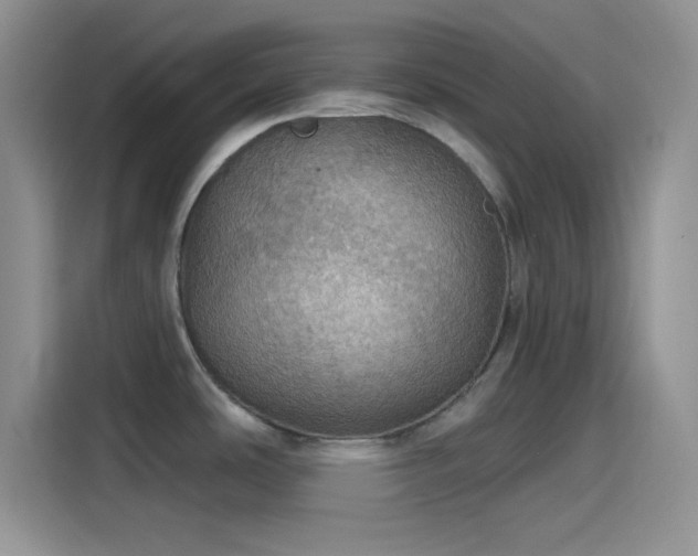 X0000115491486200911131225
