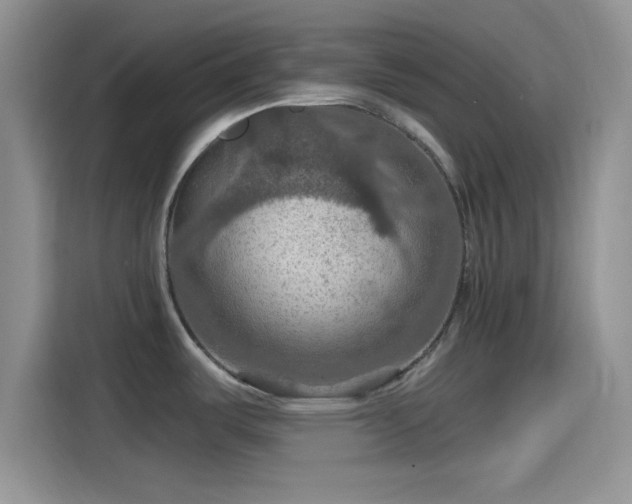 X0000115491487200911131225