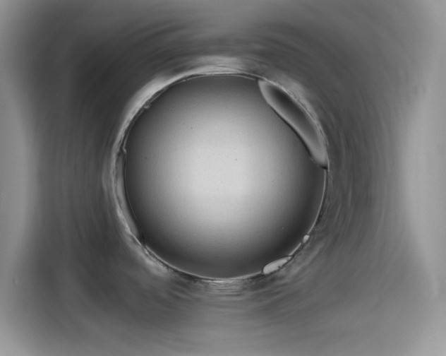 X0000115491488200911131225
