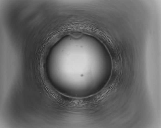 X0000115491489200911131225