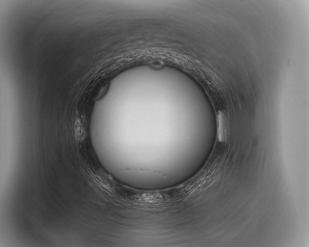 X0000115491491200911131225