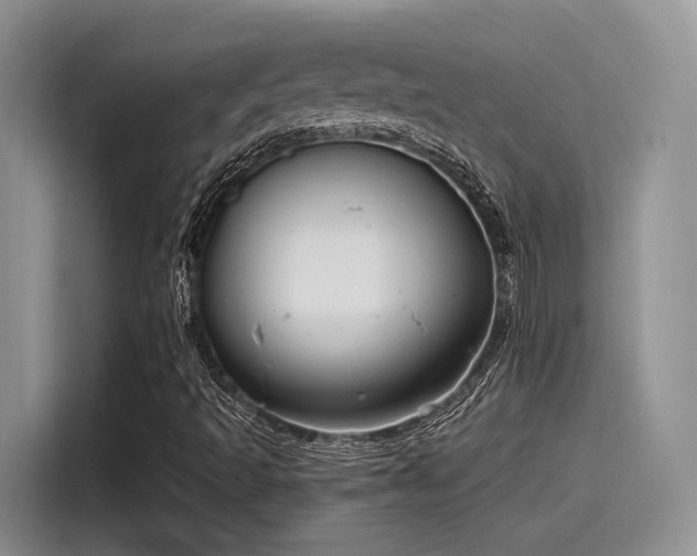 X0000115491493200911131225